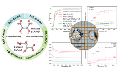 Charge and structural flexibility of tartrate groups enable high-performance ultraviolet nonlinear optical crystals 2026.101102